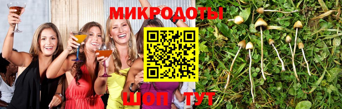 Псилоцибиновые грибы Cubensis Вязьма
